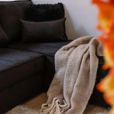 Renovated In The Heart Of Ghent